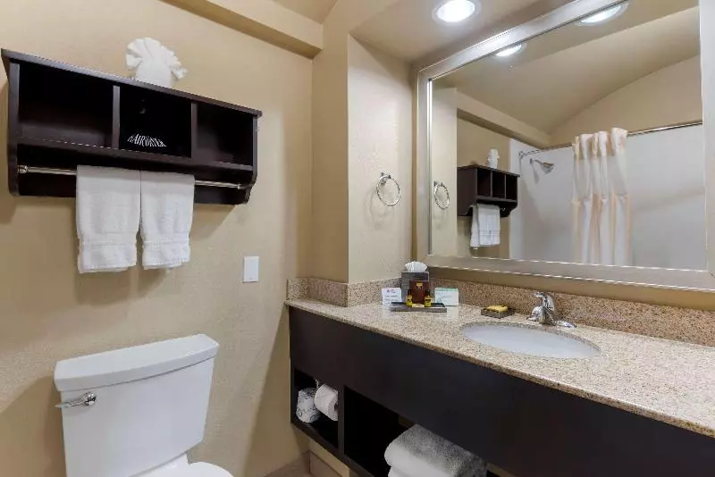 Standard-huone, Best Western Plus Arlington North