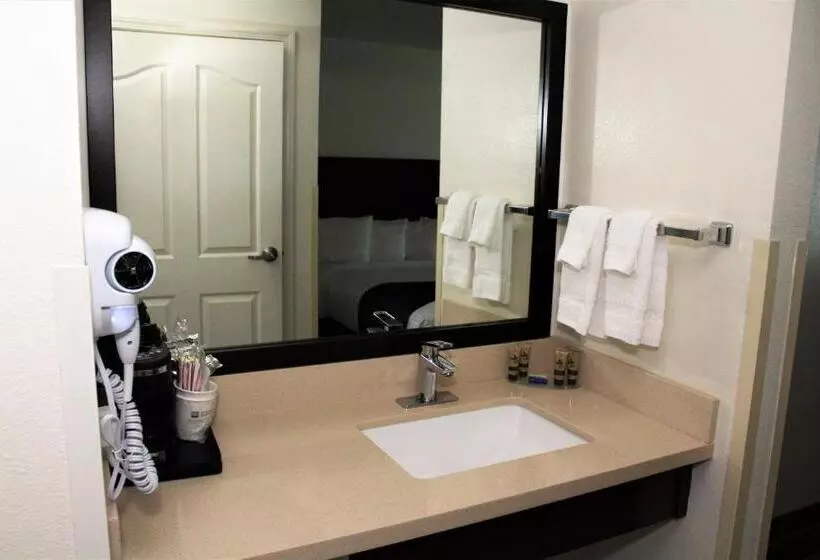 اتاق استاندارد با تخت بزرگ, Best Western Visalia