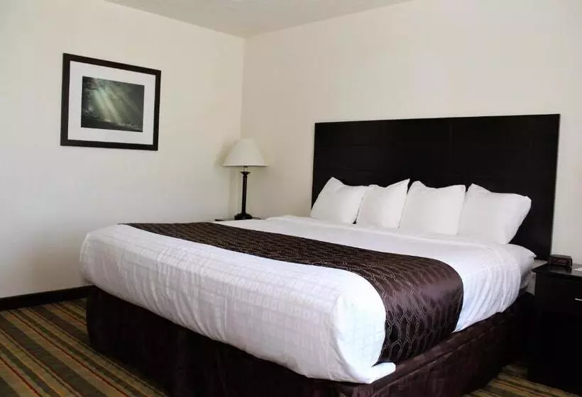 اتاق استاندارد با تخت بزرگ, Best Western Visalia