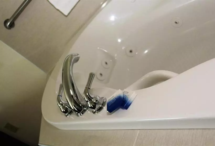 سوئیت با تخت بزرگ, Best Western Visalia