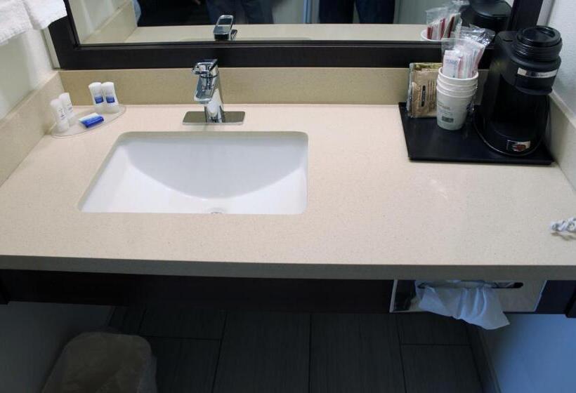 غرفة قياسية لذوى الاحتياجات الخاصة, Best Western Visalia