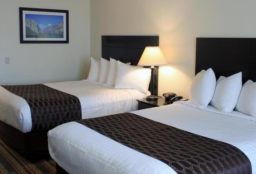 غرفة قياسية لذوى الاحتياجات الخاصة, Best Western Visalia