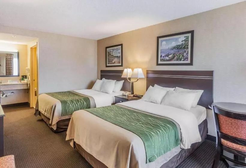 ２ダブルベッドのスタンダードルーム, Comfort Inn On The Bay