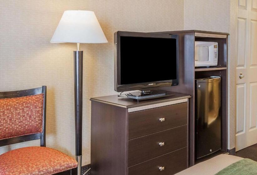 غرفه قياسيه سريرين مزدوجين, Comfort Inn On The Bay