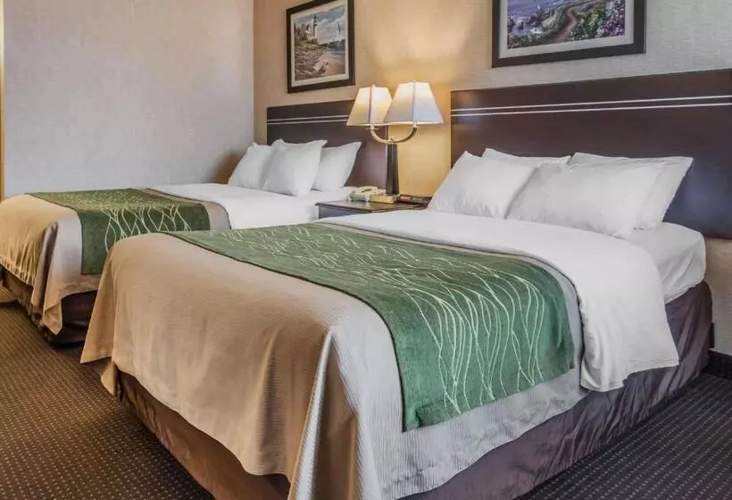 ２ダブルベッドのスタンダードルーム, Comfort Inn On The Bay