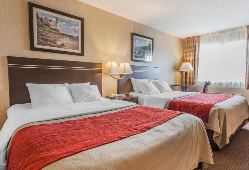 غرفه قياسيه سريرين مزدوجين, Comfort Inn On The Bay