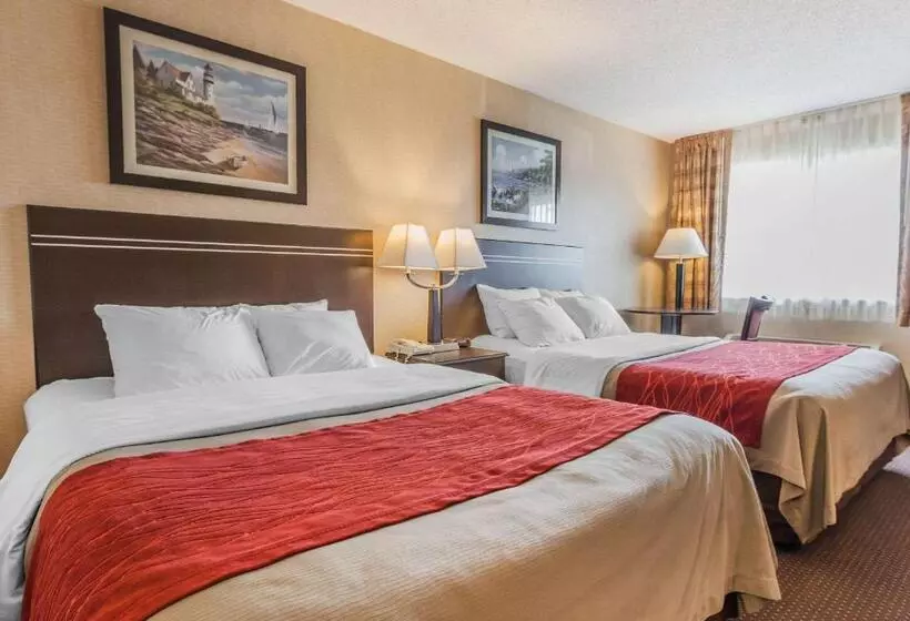 ２ダブルベッドのスタンダードルーム, Comfort Inn On The Bay