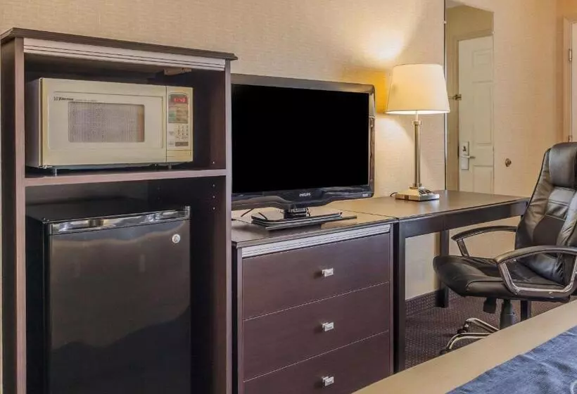 キングサイズベッドのスタンダードルーム, Comfort Inn On The Bay