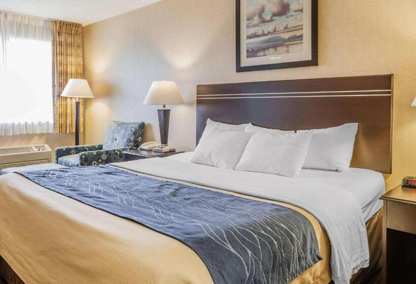스탠다드 룸 킹사이즈 침대, Comfort Inn On The Bay