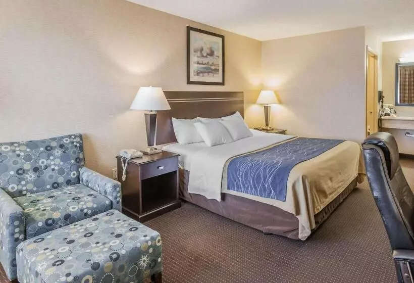 身障者適用スタンダードルーム, Comfort Inn On The Bay