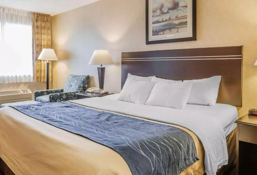 身障者適用スタンダードルーム, Comfort Inn On The Bay