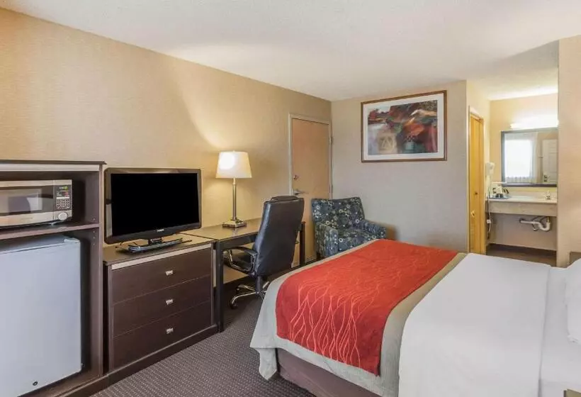 身障者適用スタンダードルーム, Comfort Inn On The Bay