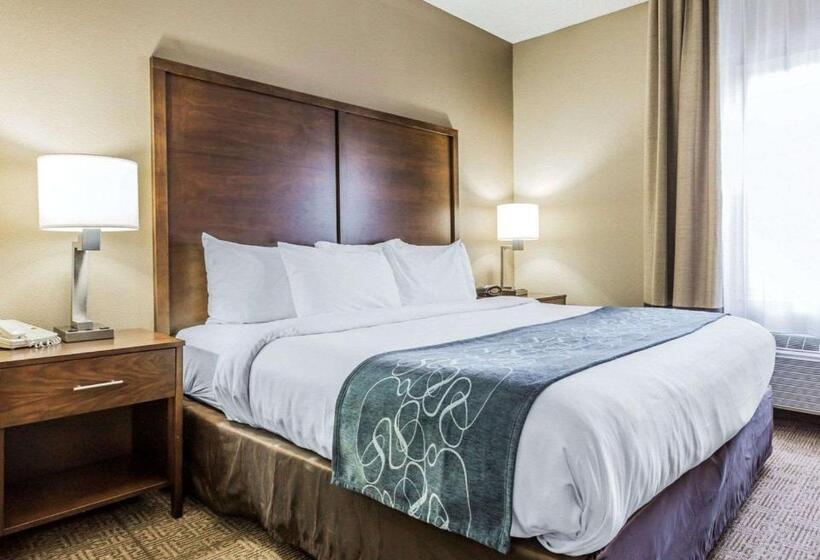 Suite King Size Bed, Comfort Suites At Isle Of Palms Connector