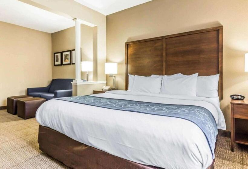 带大床的套房, Comfort Suites At Isle Of Palms Connector