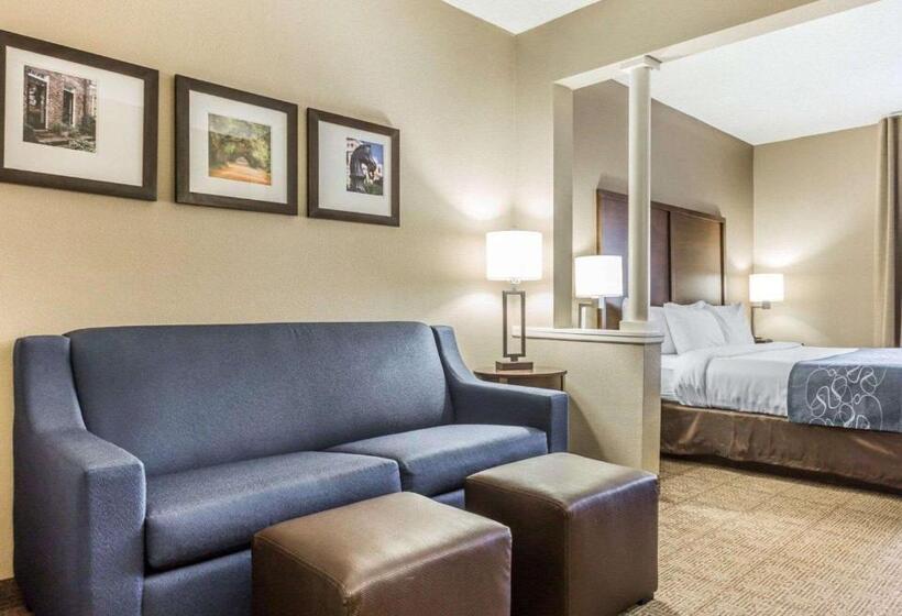带大床的套房, Comfort Suites At Isle Of Palms Connector