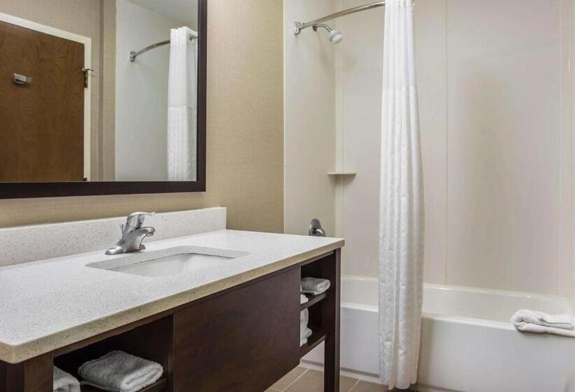 套房, Comfort Suites At Isle Of Palms Connector