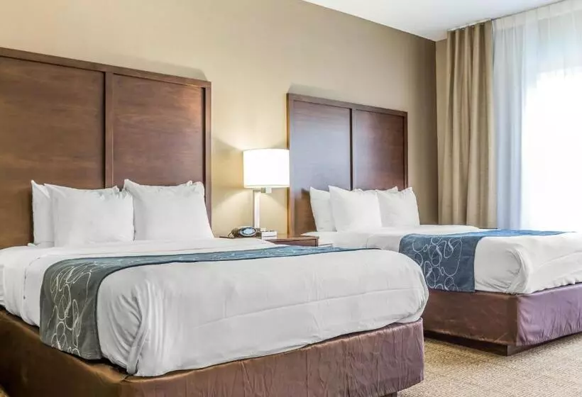 Sviitti, Comfort Suites At Isle Of Palms Connector