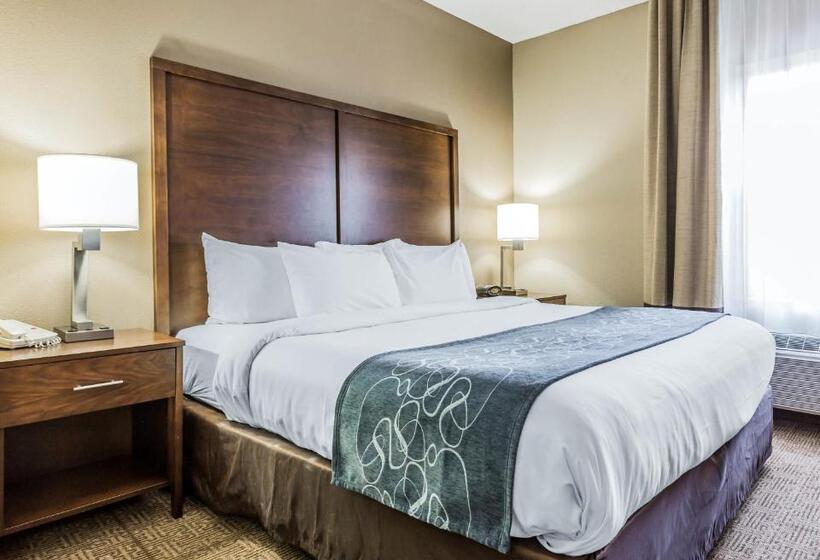 带大床的套房, Comfort Suites At Isle Of Palms Connector