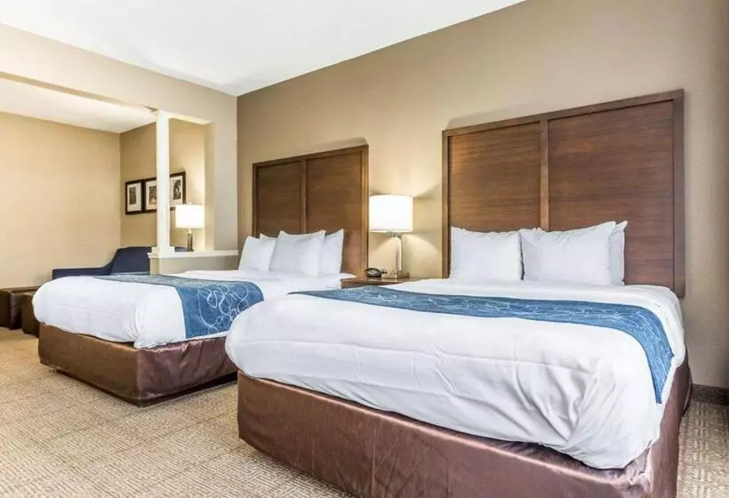 Sviitti Liikuntarajoitteisille, Comfort Suites At Isle Of Palms Connector
