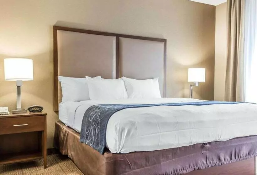 Sviitti Liikuntarajoitteisille, Comfort Suites At Isle Of Palms Connector