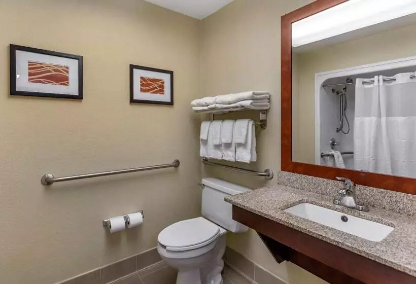 身障者適用スイートルーム, Comfort Suites At Rivergate Mall