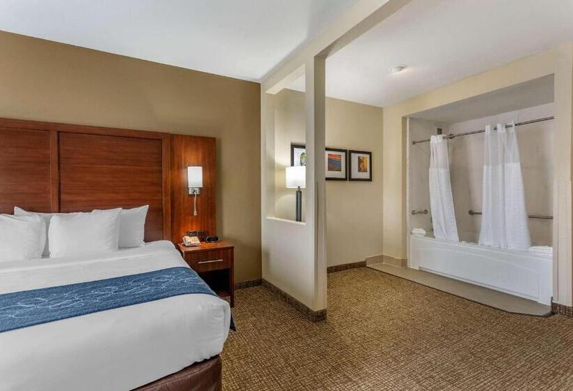 סוויטה מותאמת לאדם עם מוגבלויות, Comfort Suites At Rivergate Mall