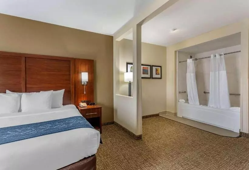 身障者適用スイートルーム, Comfort Suites At Rivergate Mall