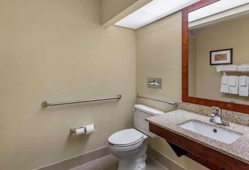 Люкс Адаптированный для Инвалидов, Comfort Suites At Rivergate Mall