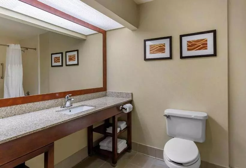 スイート, Comfort Suites At Rivergate Mall