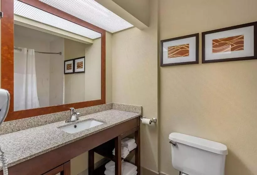 スイート, Comfort Suites At Rivergate Mall