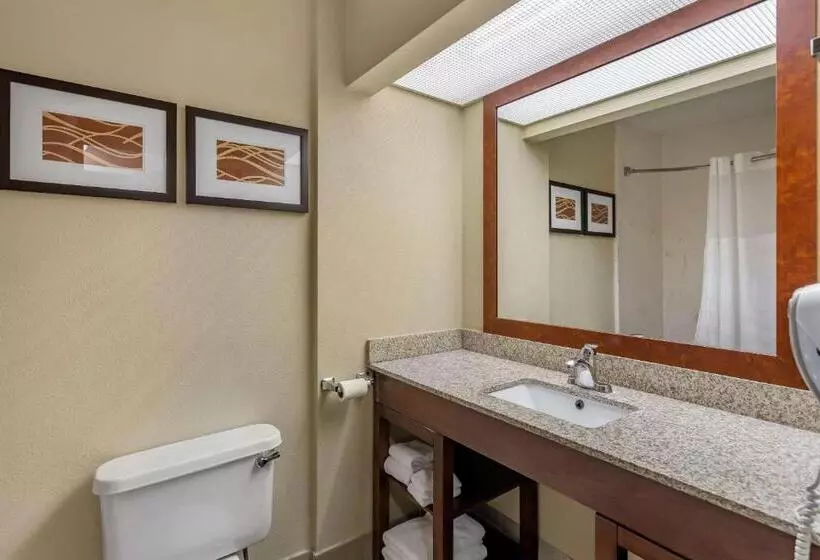 キングサイズベッドのスイートルーム, Comfort Suites At Rivergate Mall