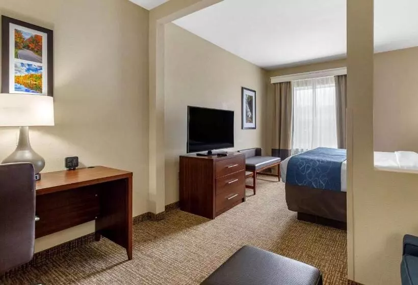 キングサイズベッドのスイートルーム, Comfort Suites At Rivergate Mall