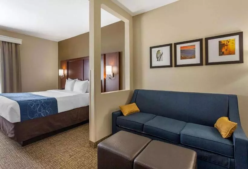キングサイズベッドのスイートルーム, Comfort Suites At Rivergate Mall