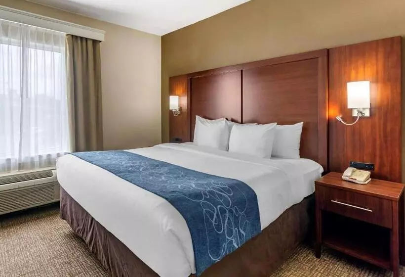 キングサイズベッドのスイートルーム, Comfort Suites At Rivergate Mall