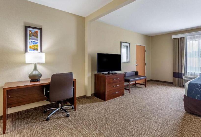 Люкс Кровать Кинг, Comfort Suites At Rivergate Mall