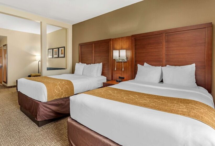 Люкс, Comfort Suites At Rivergate Mall