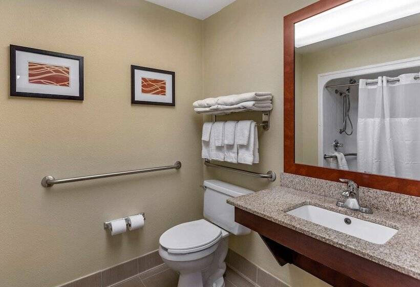 Люкс Адаптированный для Инвалидов, Comfort Suites At Rivergate Mall