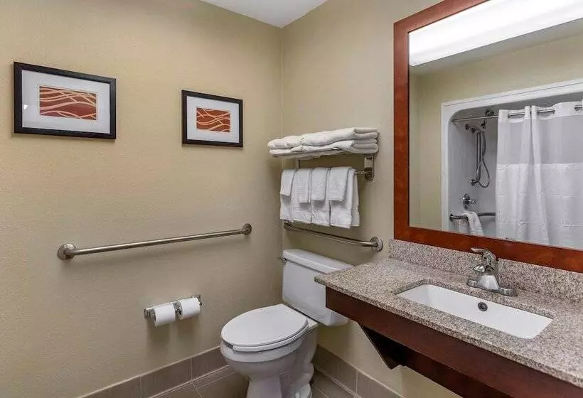 身障者適用スイートルーム, Comfort Suites At Rivergate Mall