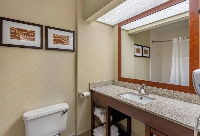 Люкс Адаптированный для Инвалидов, Comfort Suites At Rivergate Mall