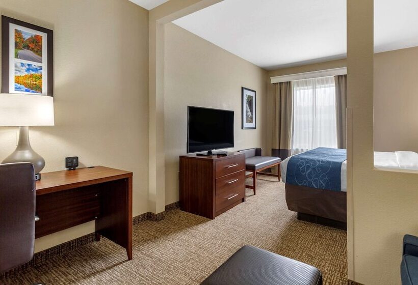 Люкс Адаптированный для Инвалидов, Comfort Suites At Rivergate Mall