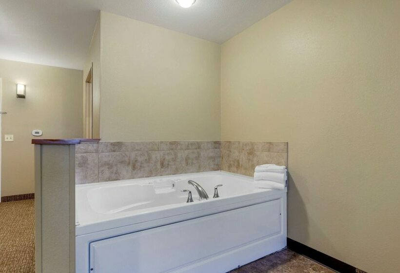 جناح, Comfort Suites Johnson Creek Conference Center