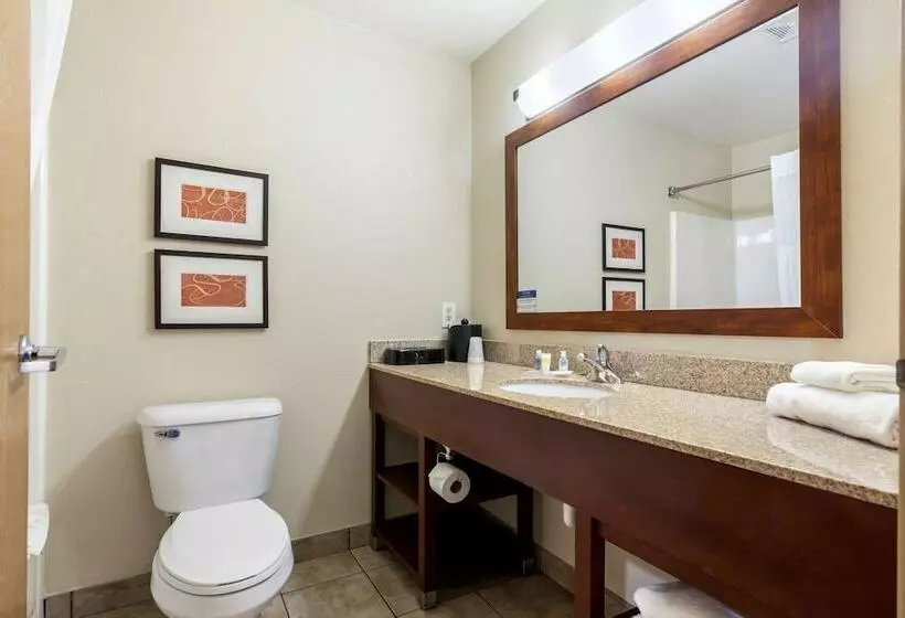 Sviitti, Comfort Suites Johnson Creek Conference Center