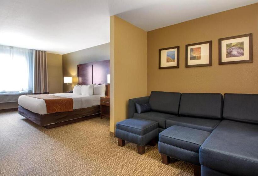 Люкс Кровать Кинг, Comfort Suites Johnson Creek Conference Center