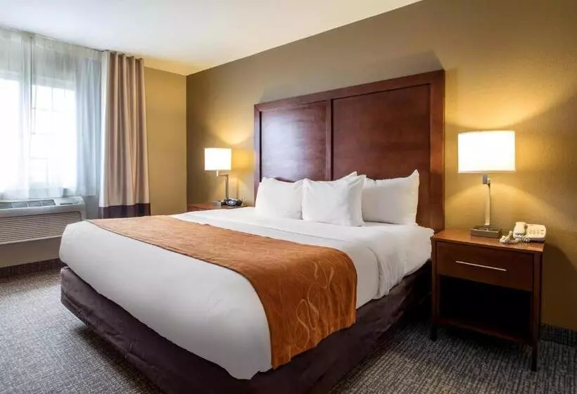 Sviitti King-vuode, Comfort Suites Johnson Creek Conference Center