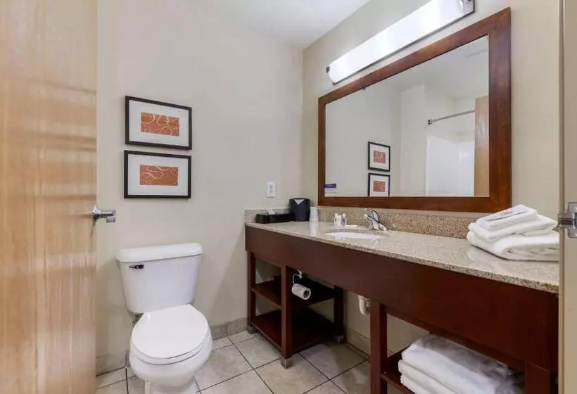 Sviitti King-vuode, Comfort Suites Johnson Creek Conference Center