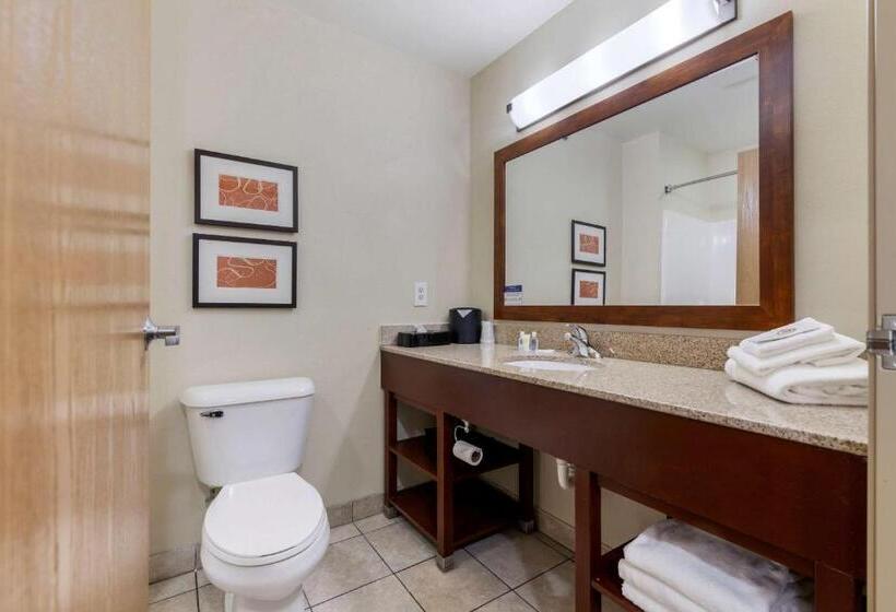 Люкс, Comfort Suites Johnson Creek Conference Center