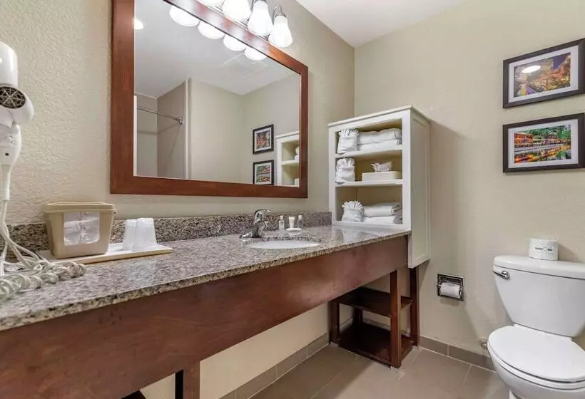 スイート, Comfort Suites Medical Center Near Six Flags