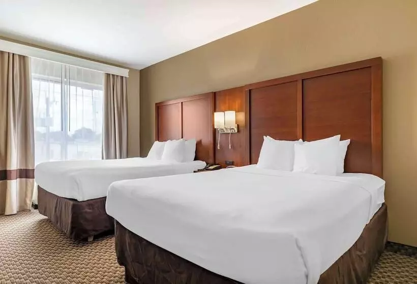 スイート, Comfort Suites Medical Center Near Six Flags