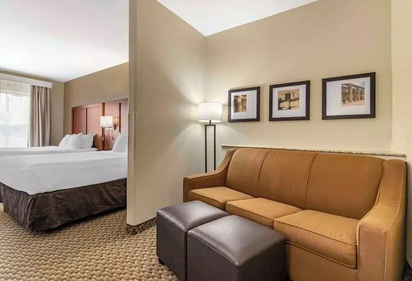 スイート, Comfort Suites Medical Center Near Six Flags