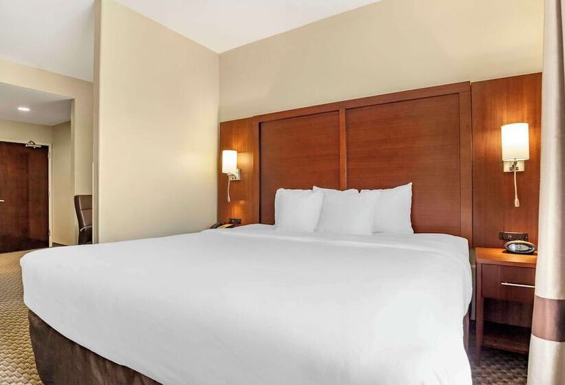 套房, Comfort Suites Medical Center Near Six Flags